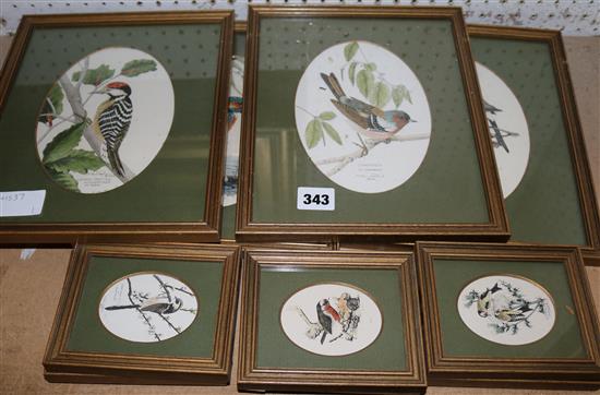 Quantity of bird pictures(-)